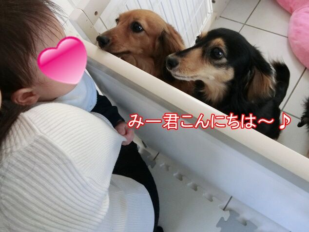 CIMG9756