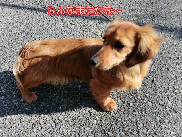 CIMG0297