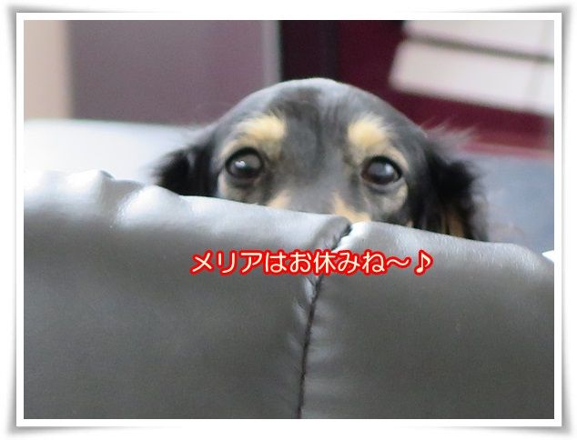 1_20160402195700ec0.jpg