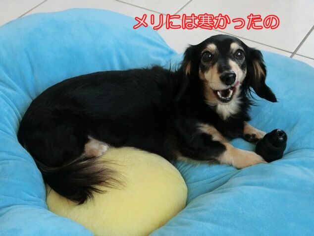 CIMG0317