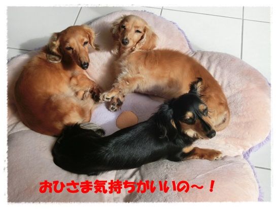 1_20130622101141.jpg