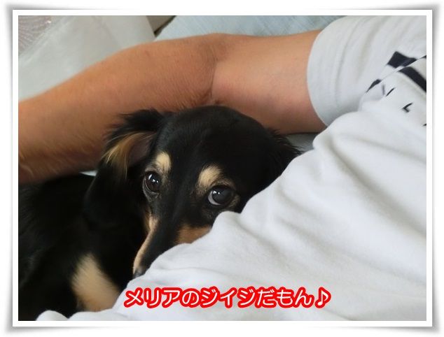 11-20150515.jpg