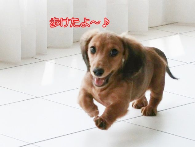 CIMG0982