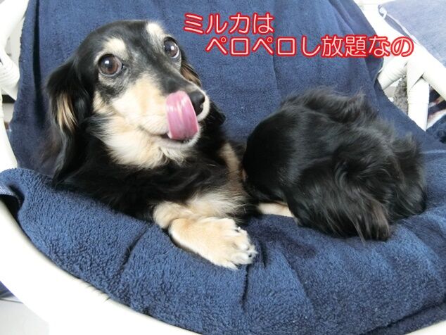 CIMG0448