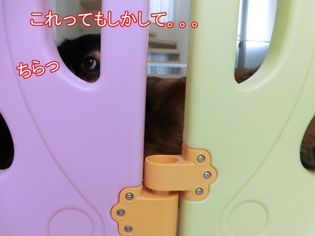 CIMG7659