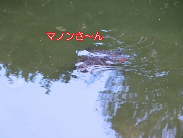 CIMG0775