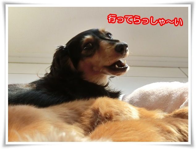 4_20150629220159b71.jpg