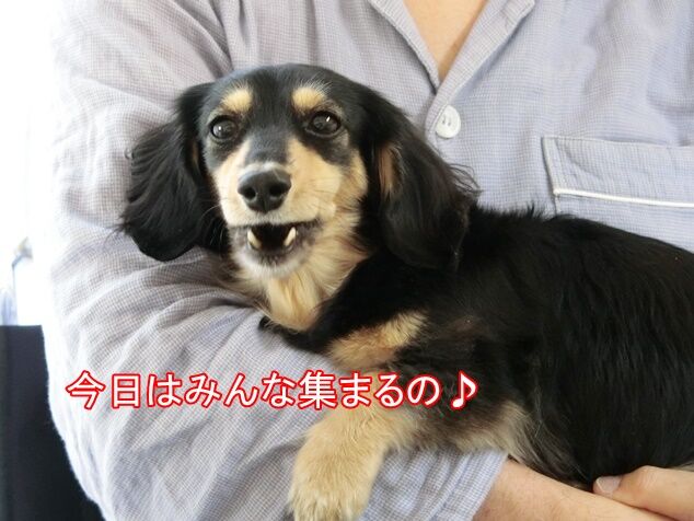 CIMG4867