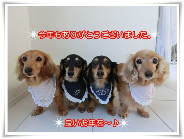 10_201412310557126de.jpg