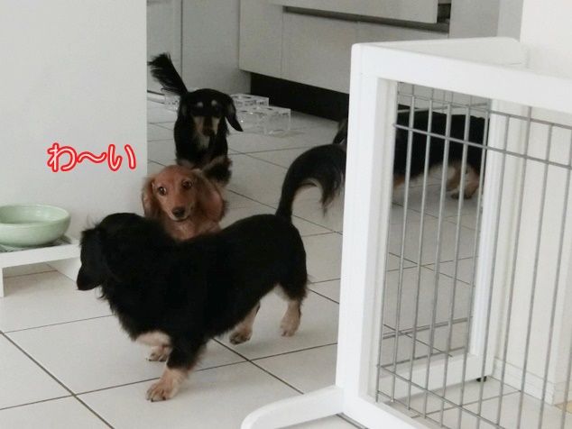 4 (2)