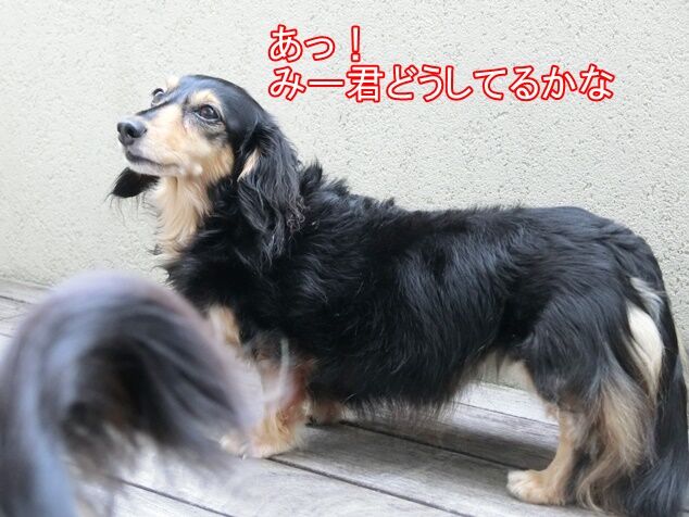 CIMG4393