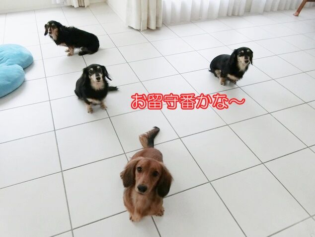 CIMG0791