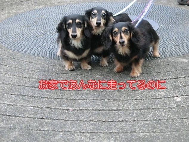 CIMG0803