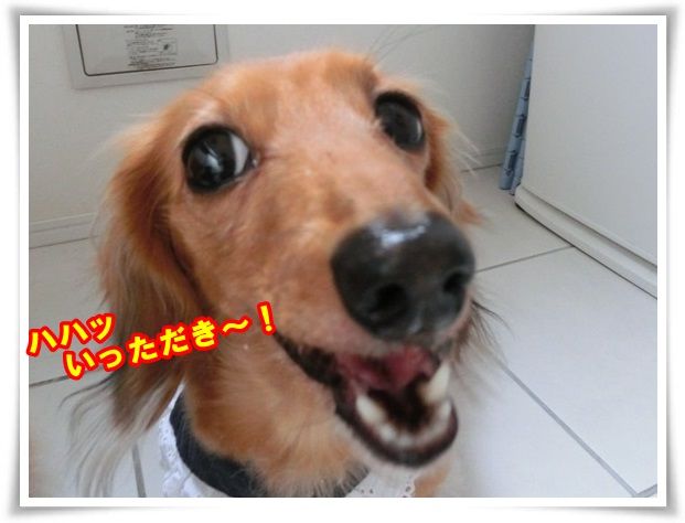 9-20131031.jpg