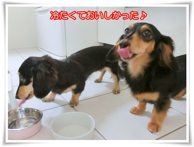 21_201408310855119ed.jpg