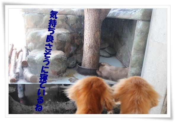 6-20130607.jpg