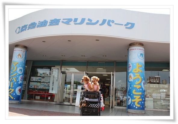 1-20130607.jpg