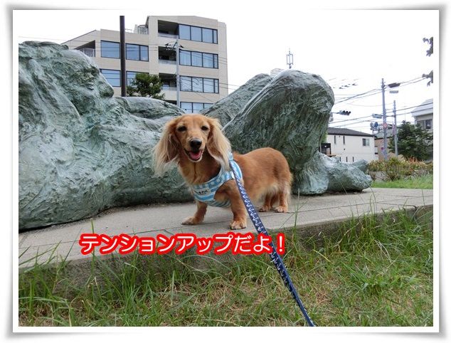 8_20150814203320fcb.jpg