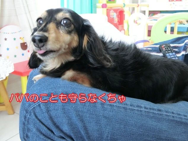 CIMG5658