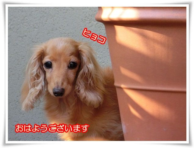 1_20140724082656fbe.jpg