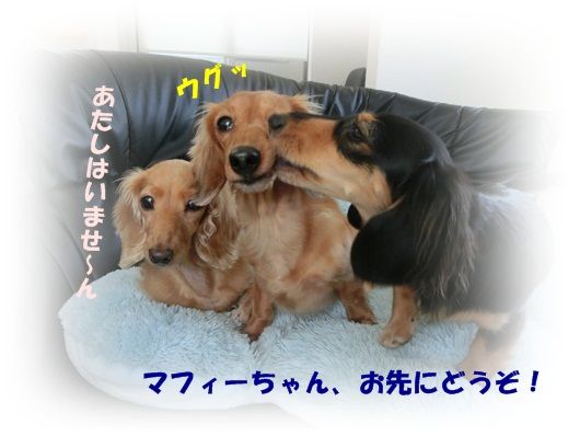 CIMG4616-20121016.jpg