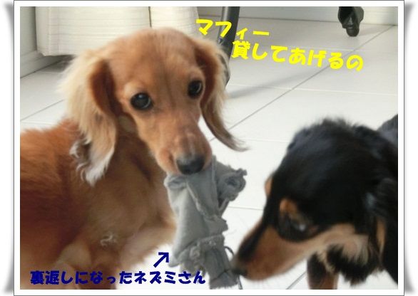 CIMG0006-20130129.jpg