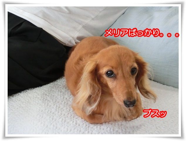 13-20150515.jpg