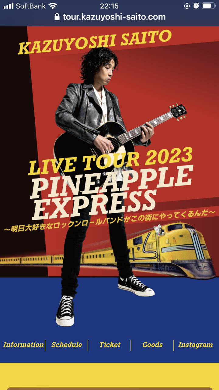 斉藤和義 PINEAPPLE 生産限定盤180グラム重量盤レコード 斉藤和義