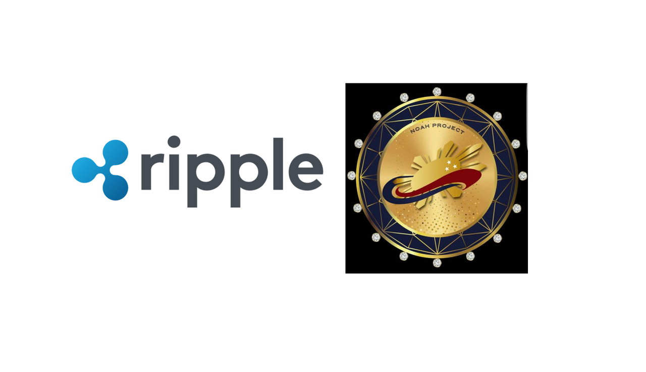 リップルとノアコインの驚くべき共通点 : 仮想通貨いつ上がるの？