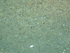 PB070030