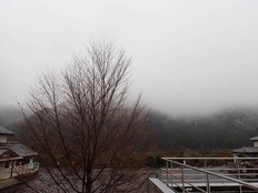 川上村 (2)