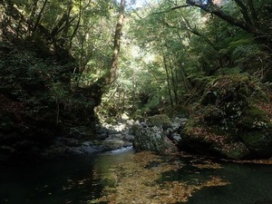 PB032006