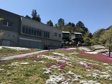 IMG_9426