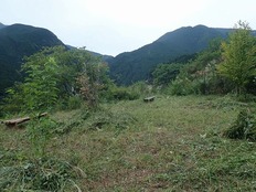 P9281639