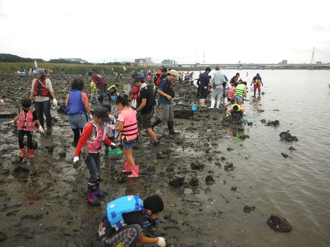 たまがわ水辺の教室　2015-007