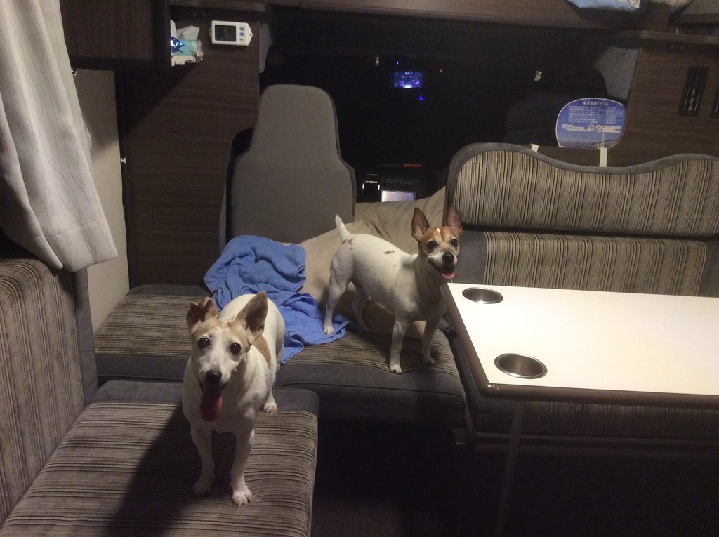 ちょこっと滋賀県 犬と車旅 カッパ日記 ちょこっと滋賀県 犬と車旅 カッパ日記