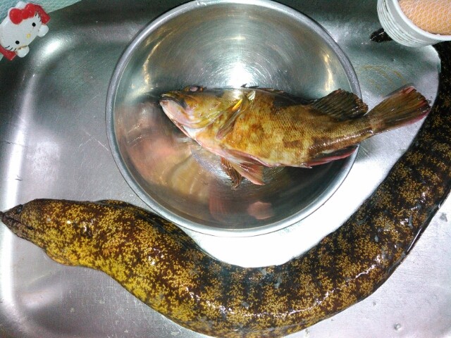 うつぼ干物 鯉焦がれ 来る魚 拒まず