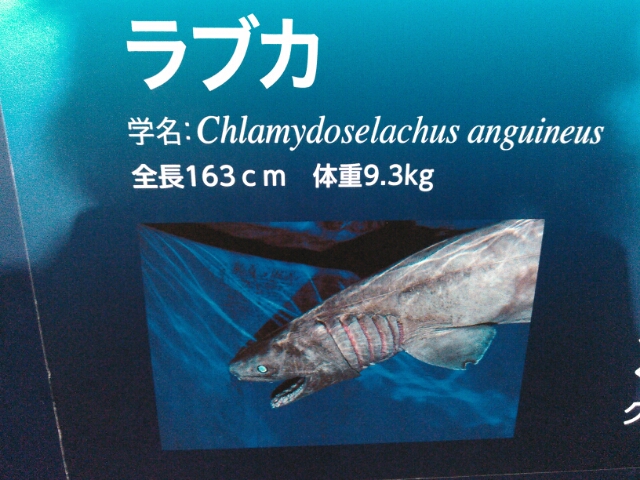 ゴジラ ソフビ 新江ノ島水族館限定 相模湾深海Ver. ゴジラ 新江ノ島