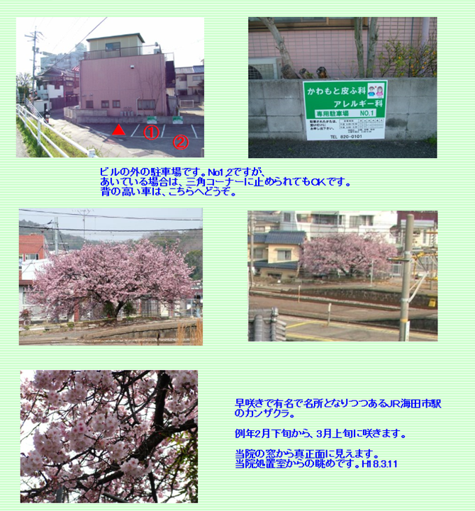 イメージ 3