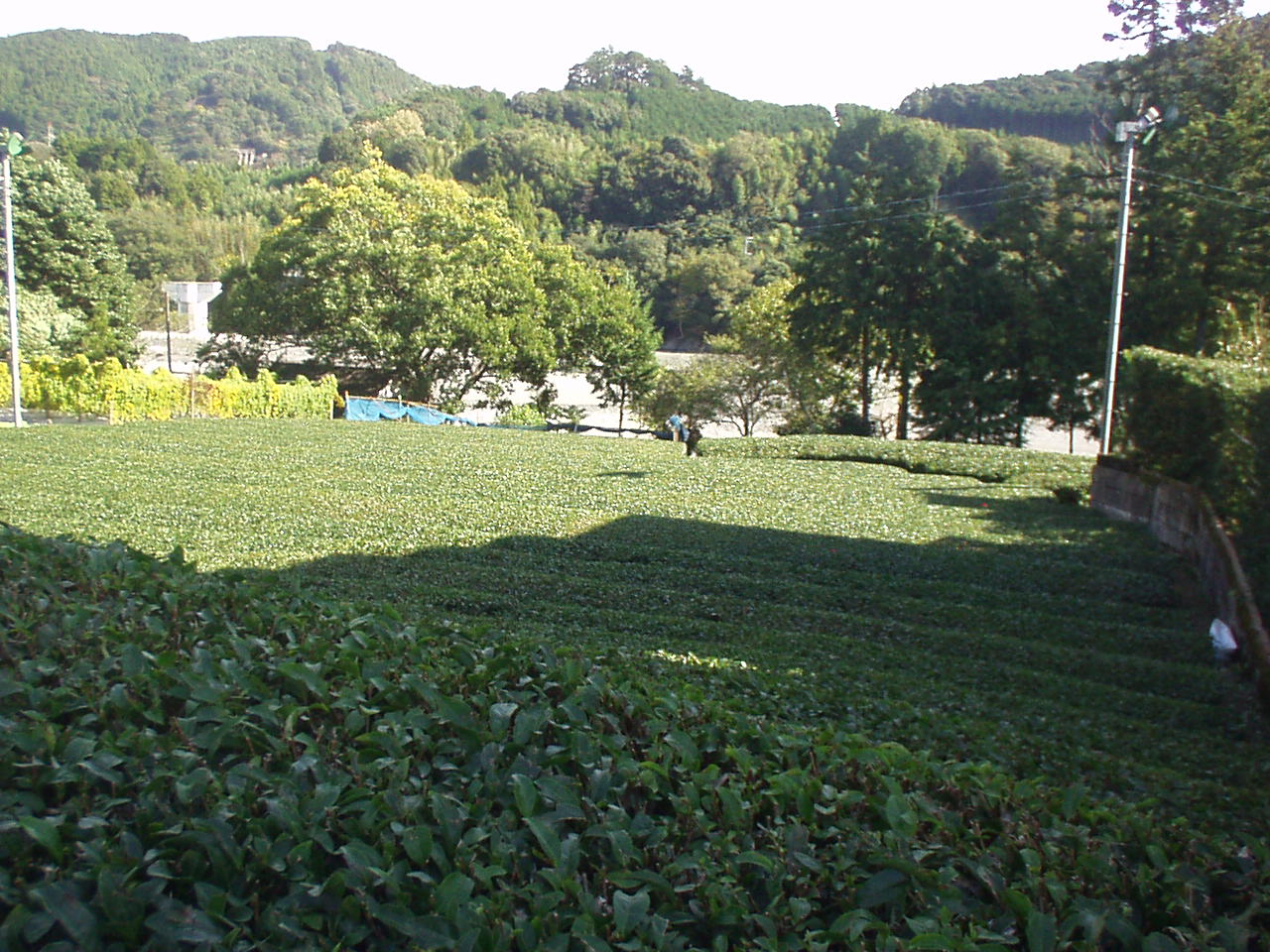 イメージ 1