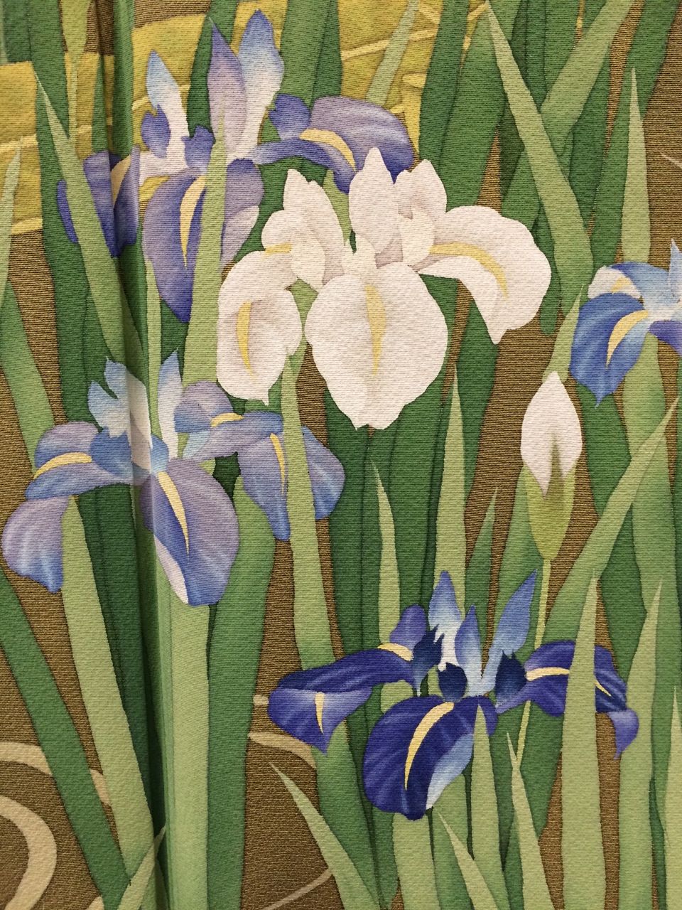 0以上 花菖蒲 日本画 花のイメージのコレクション