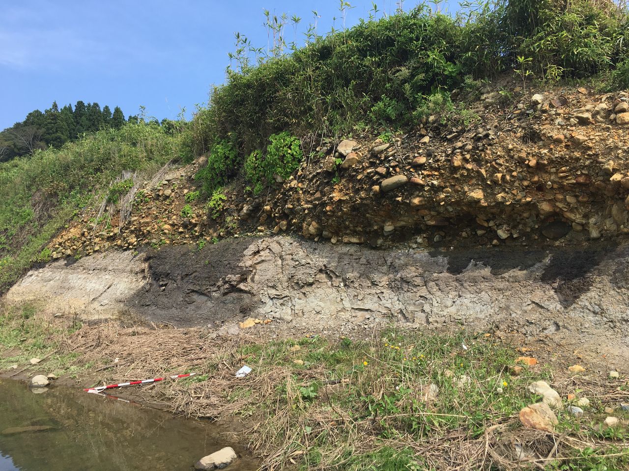 18年08月 カワオソ分子生命地質研究所のblog