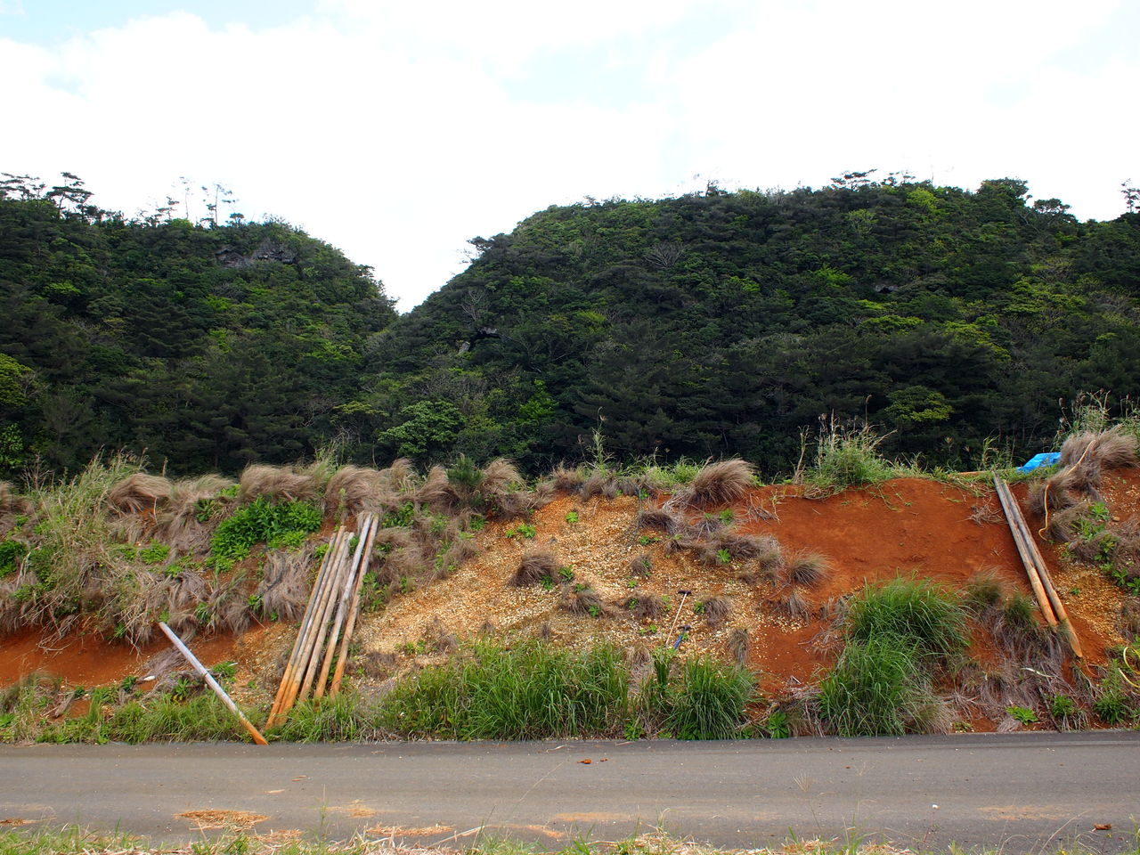 琉球島嶼の成立6徳之島 カワオソ分子生命地質研究所のblog