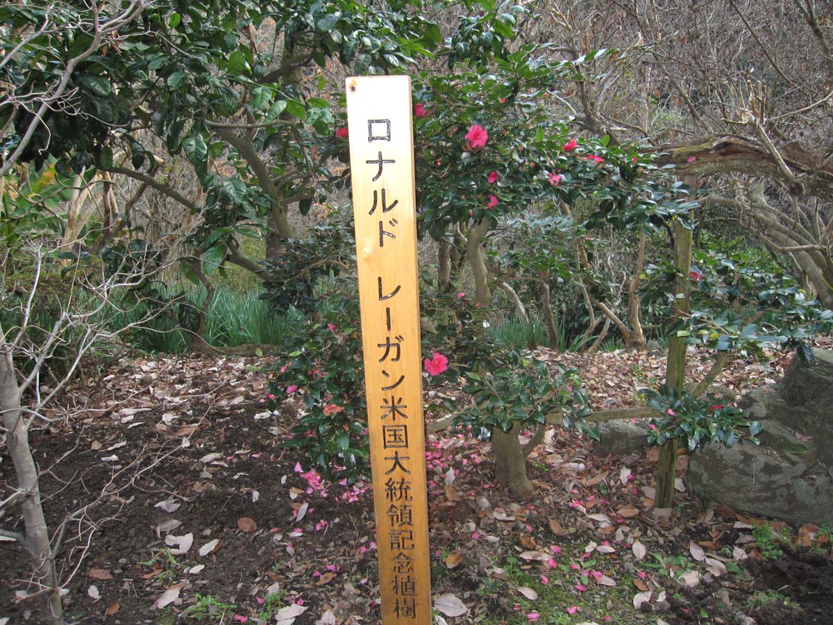 日の出山荘 中曽根康弘 ロナルドレーガン日米首脳会談記念館 河原カフェ