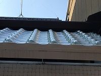IMG_5690 re