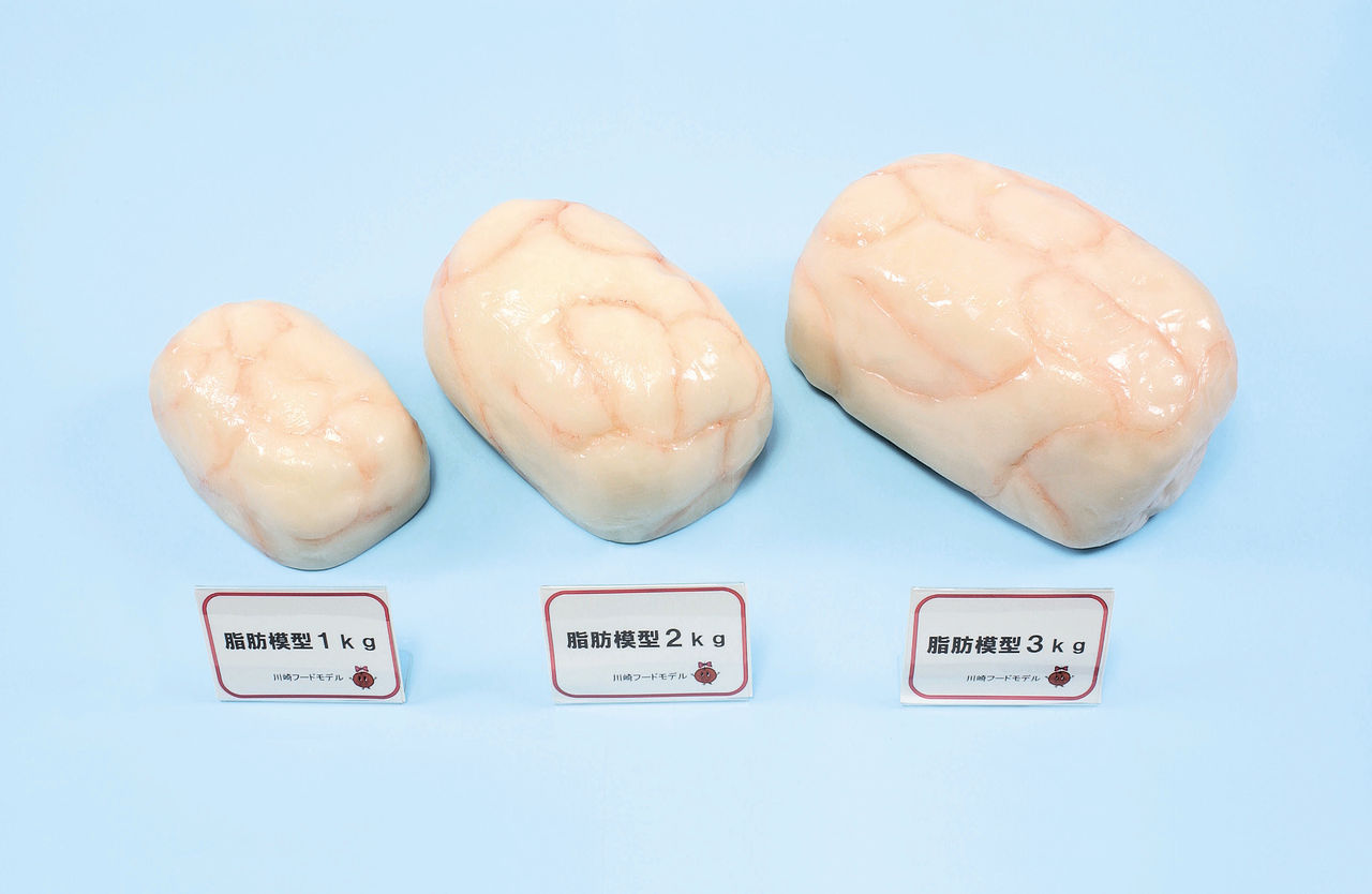 ベルギー製 川崎フードモデル 体脂肪模型 1kg 川崎フードモデル - 通販