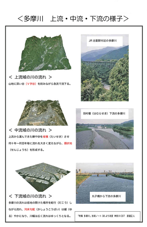 多摩川:上流・中流・下流の様子_edited-1