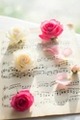 image (57)