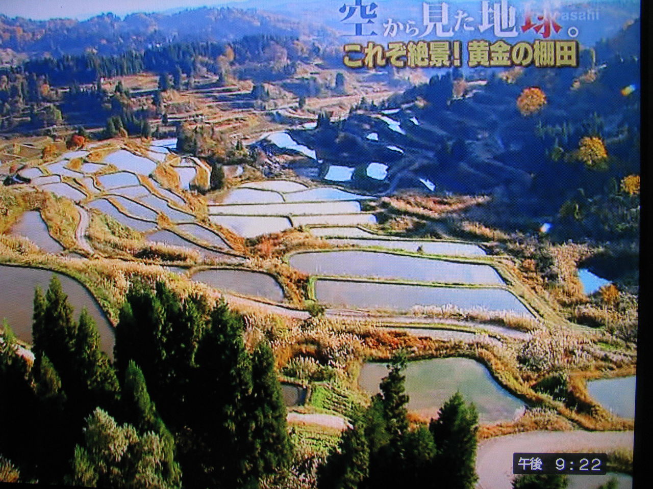 テレビ朝日 空から見た地球 を見る 道ばたの景色