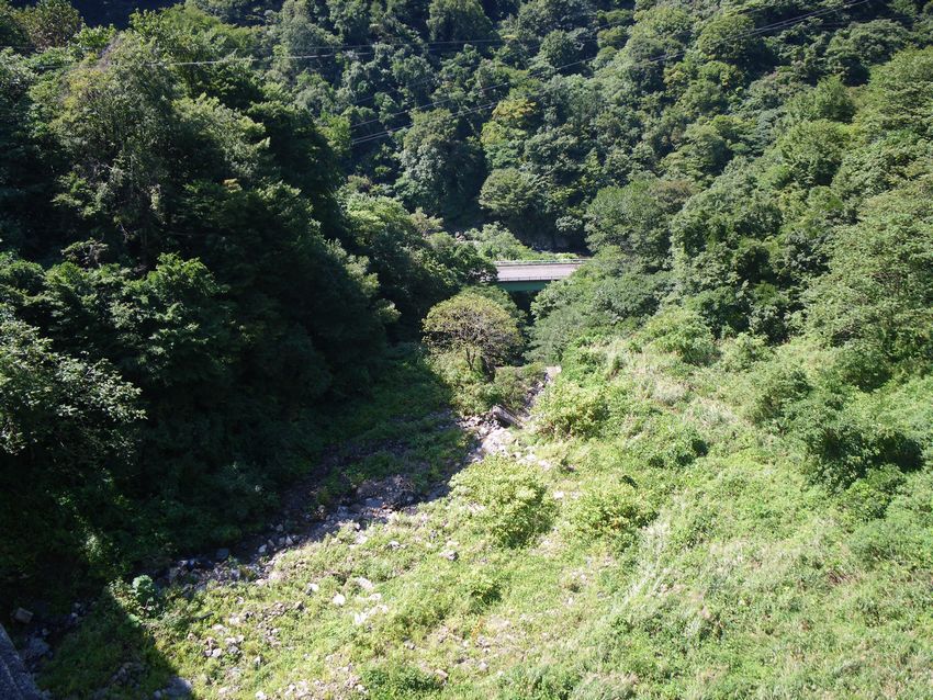 ミノーイング渓流ガイド                　aizu　　翡　翠